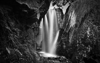 Scenic view of waterfall in forest