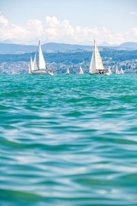 Sailboats on beautiful lake zürich zürichsee in switzerland.