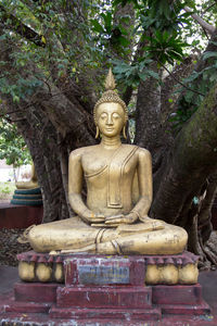 Statue of buddha against trees