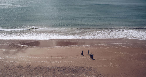 High angle view of people walking at beach