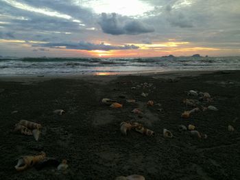 Scenic view of beach against sky during sunset