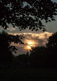 Silhouette of trees at sunset