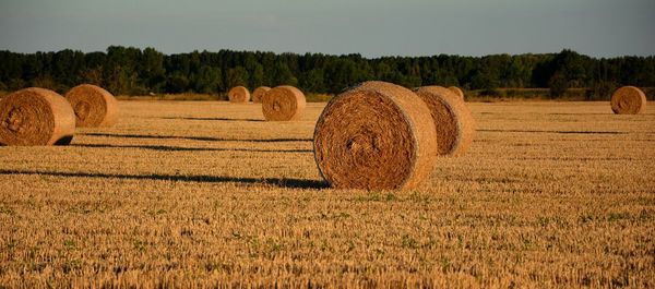 Straw bales