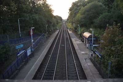 Railroad tracks amidst trees