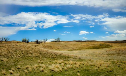Scenic view of field against sky