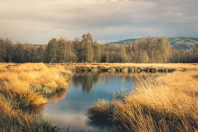 Scenic view of lake against sky