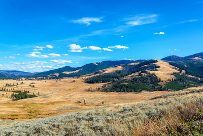 Scenic view of landscape against blue sky