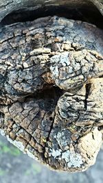 Close-up of wooden logs