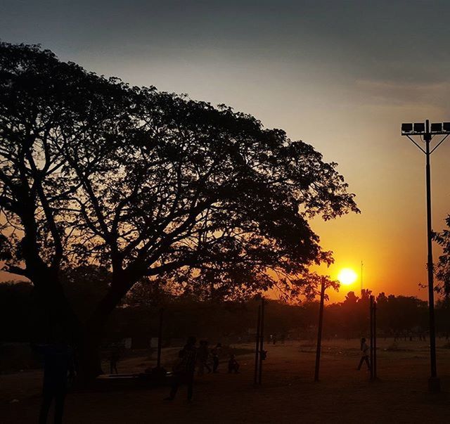 sunset, tree, silhouette, orange color, tranquility, sky, scenics, tranquil scene, beauty in nature, sun, nature, idyllic, landscape, sunlight, outdoors, branch, growth, non-urban scene, bare tree, clear sky