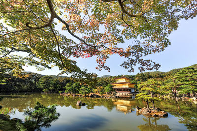 Reflection of trees in lake