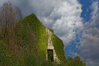 Panoramic view of tree against sky