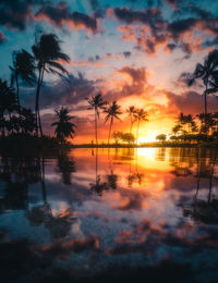 Silhouette trees by lake against sky during sunset