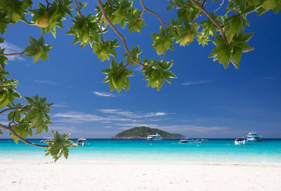 Scenic view of sea against blue sky