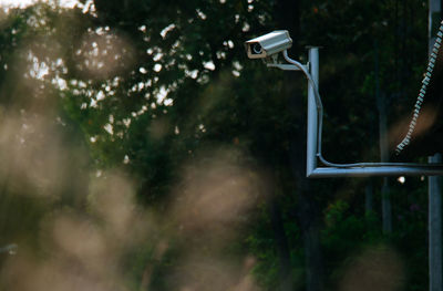 View of security camera against trees