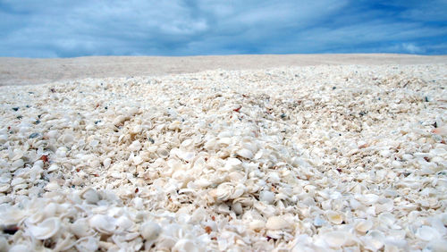 Pebbles on beach against sky