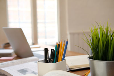 Potted plant on table at home