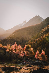 Scenic view of mountains against clear sky