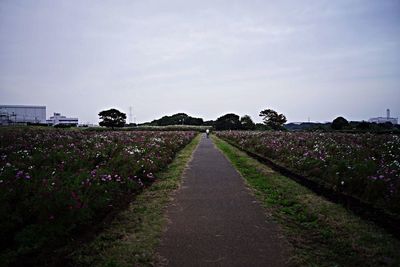 View of rural landscape