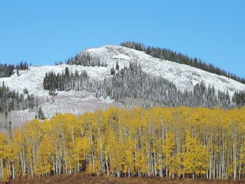 Scenic view of landscape against clear sky