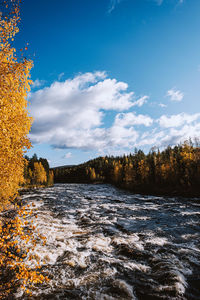 Scenic view of river amidst trees against sky