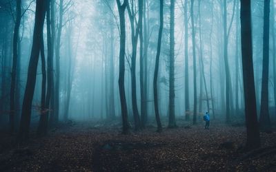 Man standing amidst trees in forest during foggy weather