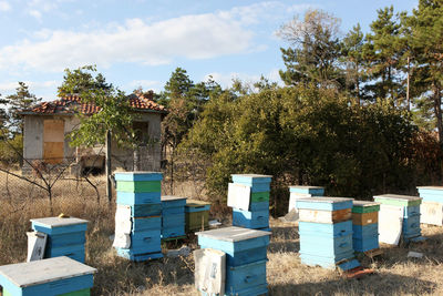 Painted wooden beehives with active honey bees