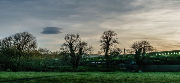 View of trees against cloudy sky