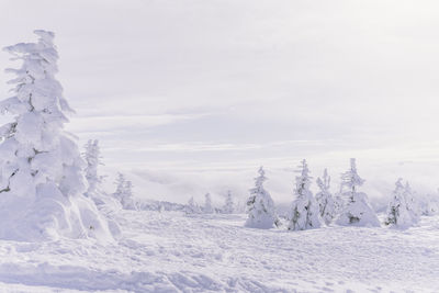 Scenic view of snow covered land against sky