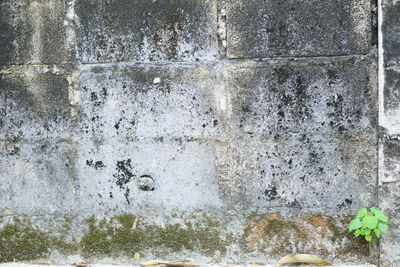 Close-up of water against wall