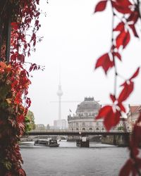 View of buildings in city against clear sky