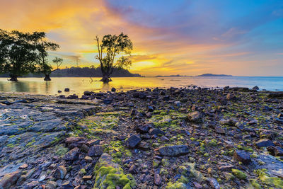 Scenic view of sea against sky during sunset