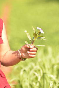 Midsection of woman holding flowering plant in field