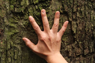 Close-up of human hand on tree