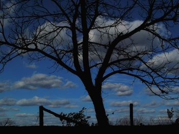 Silhouette bare tree against sky