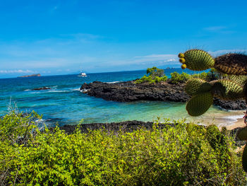 Scenic view of sea against blue sky