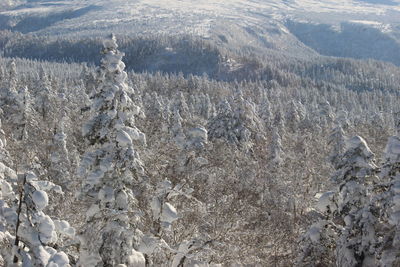 High angle view of snowcapped mountain