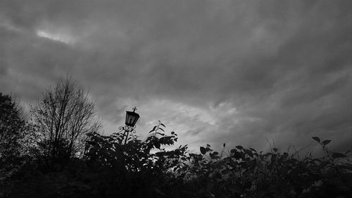 Low angle view of silhouette trees against sky