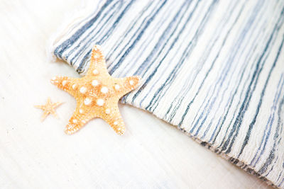 High angle view of starfish on beach