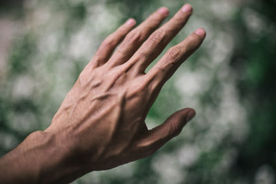 Close-up of hand against blurred background