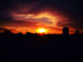 Silhouette of trees at sunset