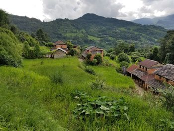 Houses on green landscape against sky