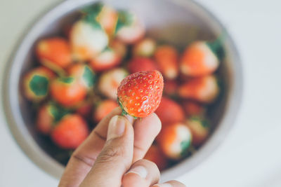 Midsection of person holding fruits in bowl