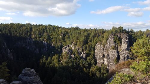 Panoramic view of trees and plants against sky