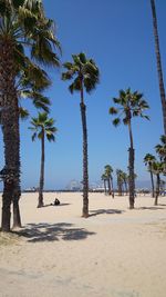 Palm trees on beach against clear sky