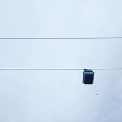 Low angle view of tree against sky