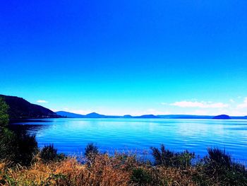 Scenic view of sea against clear blue sky