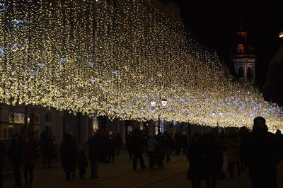 Crowd at illuminated christmas lights at night