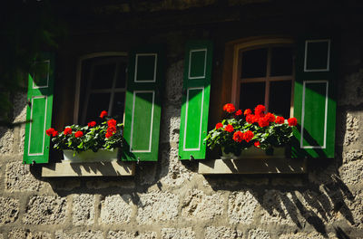 Landhaus in bayern mit grünen fensterläden 