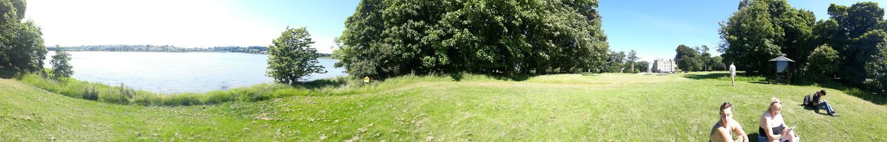 Panoramic shot of trees on land against sky