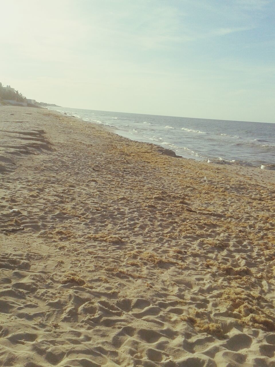 sea, beach, horizon over water, water, sand, shore, tranquility, tranquil scene, sky, scenics, beauty in nature, nature, idyllic, coastline, remote, wave, day, outdoors, no people, non-urban scene